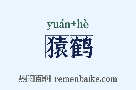 猿鹤是什么意思的图片